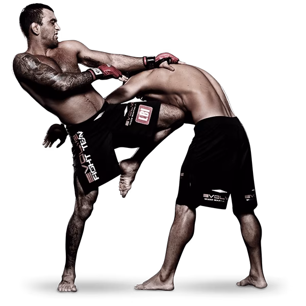 Fighter Knee