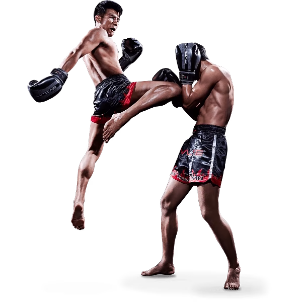 Fighter Flying Knee