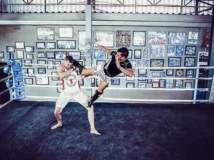 Muay Thai Techniques